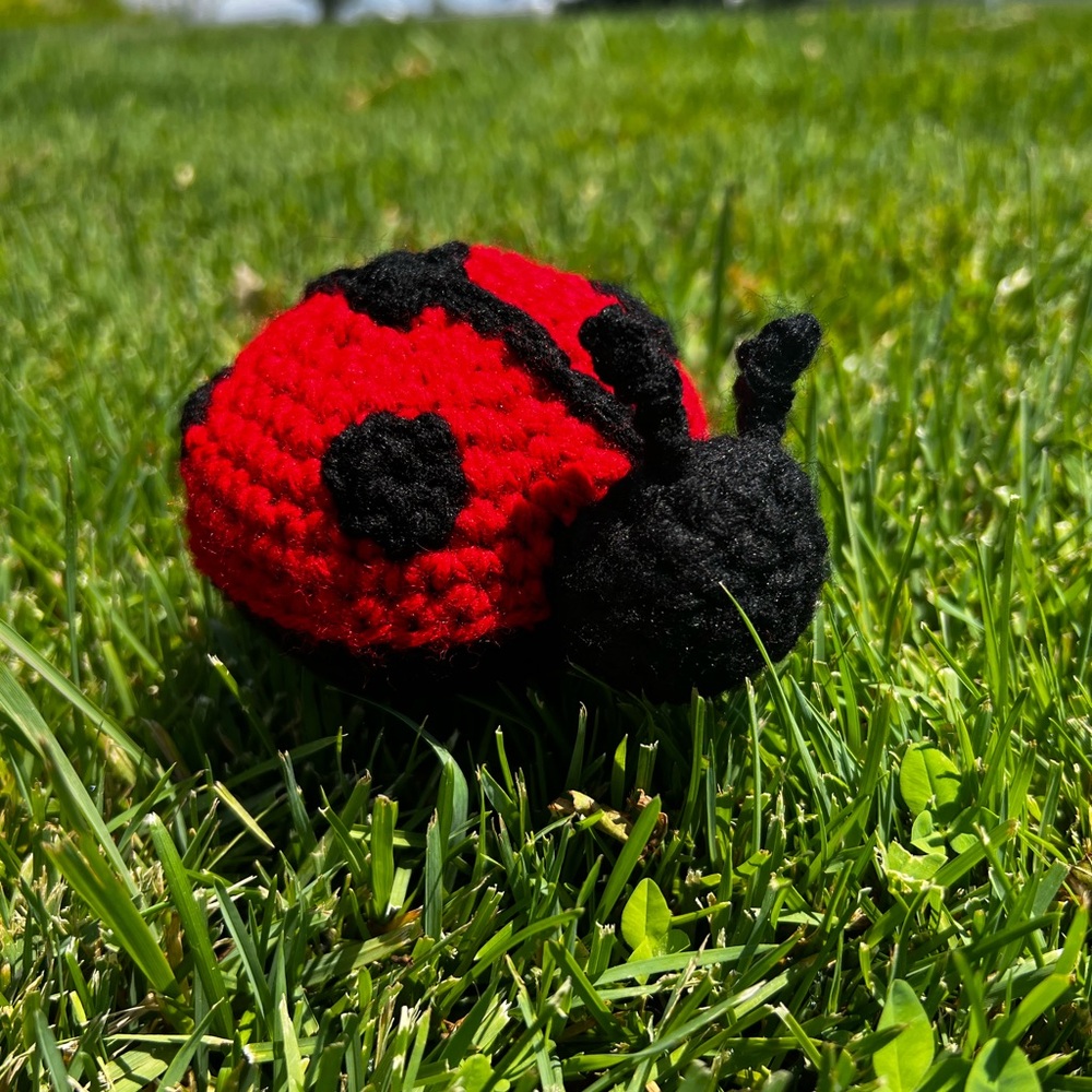 Hand Crocheted Little Ladybug Plushie Stuffed Animal!